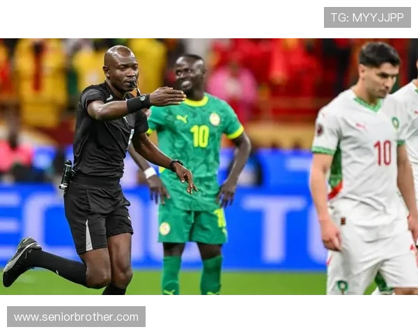 非洲杯冲突后贝尔加利被停赛四场